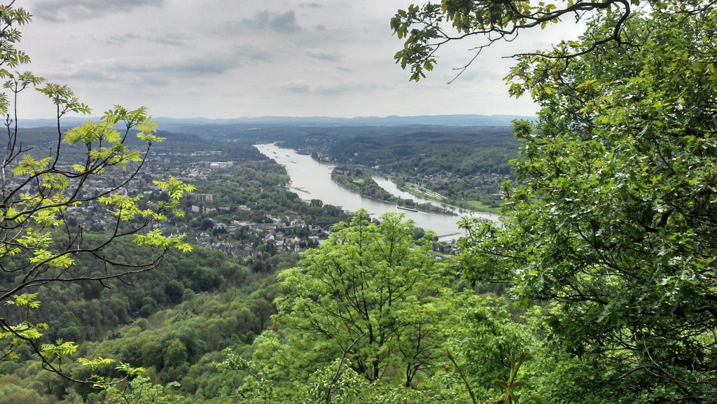 laufen im Siebengebirge - immer ein Highlight!