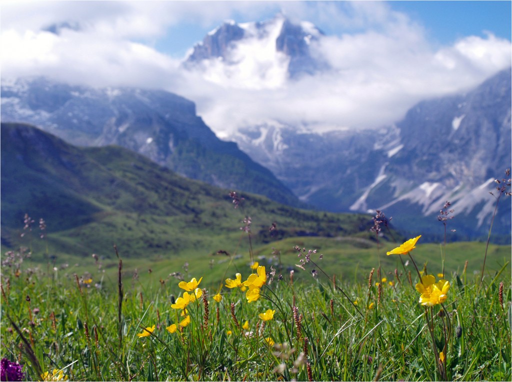 Sommer im Tal, Frühling in den Bergen