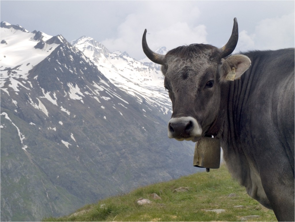 für die Unterhaltung an der Breslauer Hütte ist gesorgt