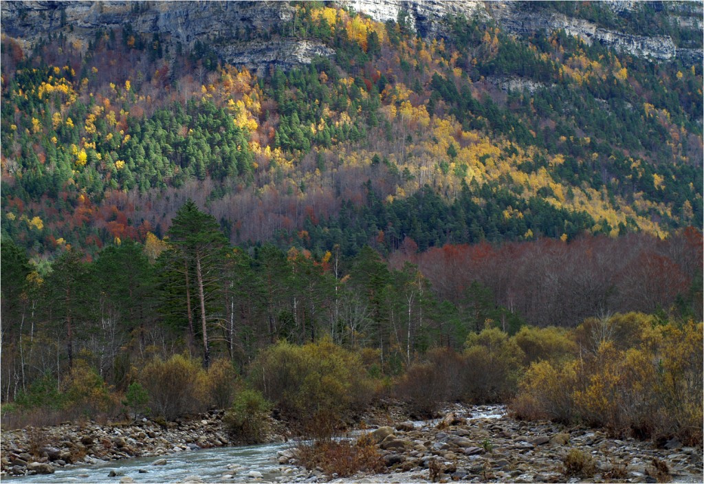 wunderschöner Herbst