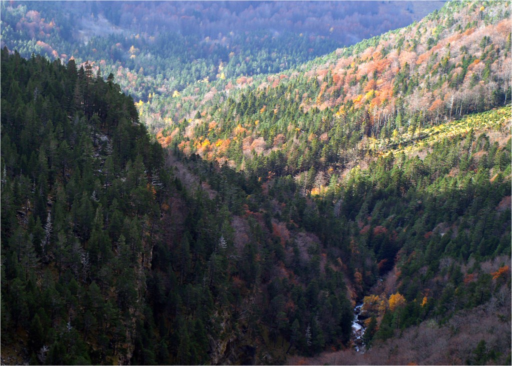 Blick ins Tal von unterwegs