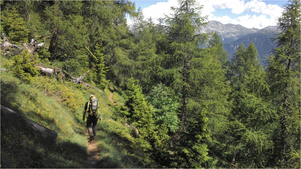 malerischer Weg zur Hütte