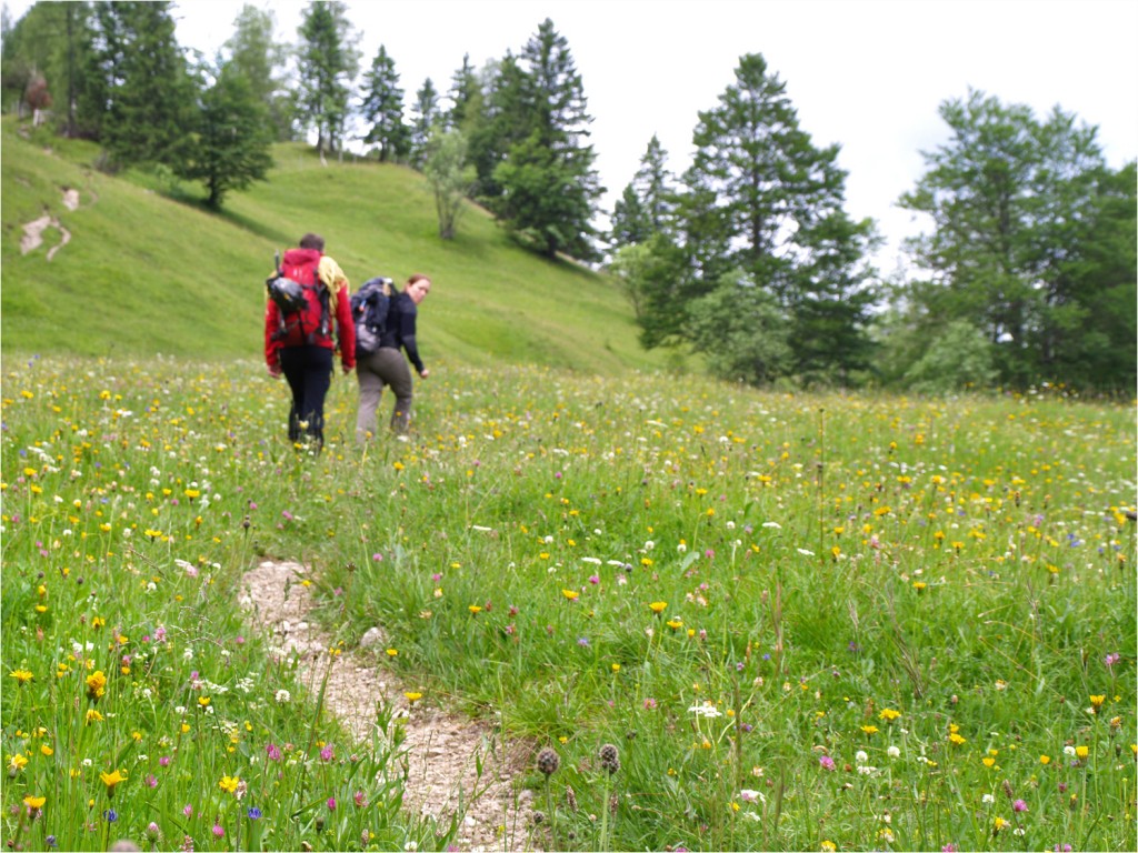 Start am Ferchensee - hier noch recht sommerlich