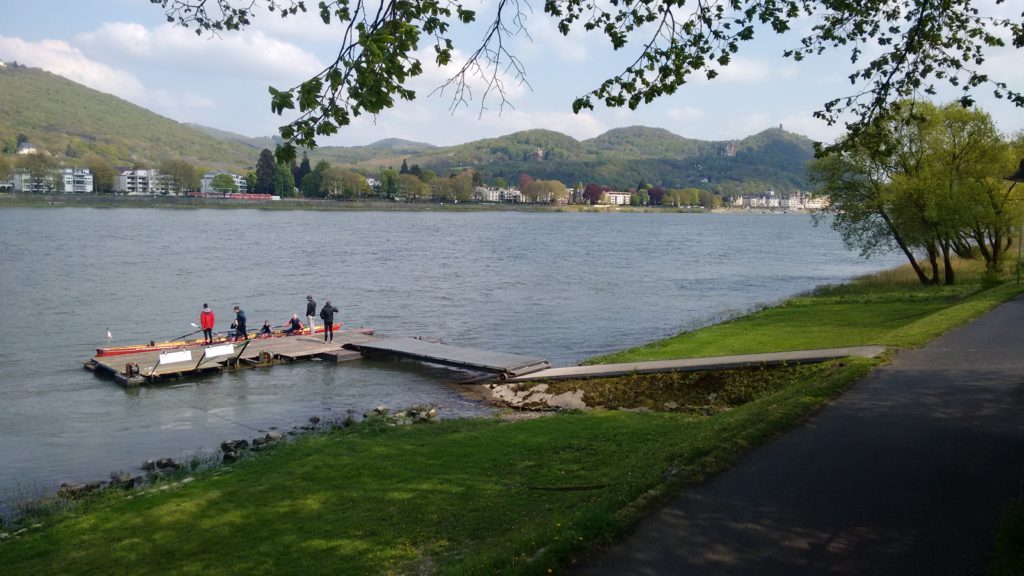 Rudern auf dem Rhein: Jedes mal toll, heute aber nicht so einfach weil sehr windig